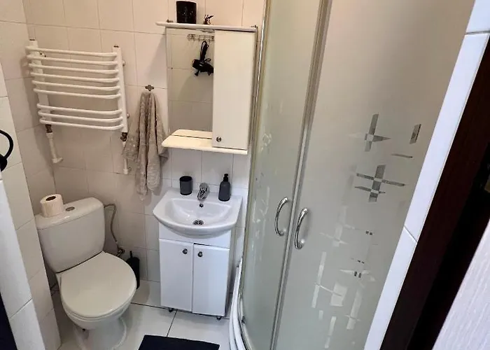 Old With Parking Lemberg