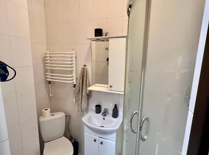 Apartmán Old With Parking Lvov